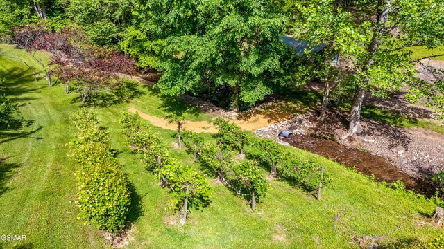 1878 Omaha Rd, Del Rio, TN 37727 - drone / aerial view
