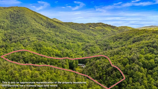 1878 Omaha Rd, Del Rio, TN 37727 - aerial overview of property's location with a heavily wooded area, property parcel outlined, and mountains