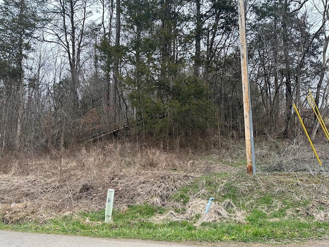 Listing photo 2 for LOT29 Lower English Creek Rd, Newport TN 37821