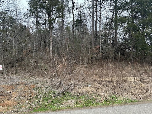 LOT29 Lower English Creek Rd, Newport TN, 37821 land for sale