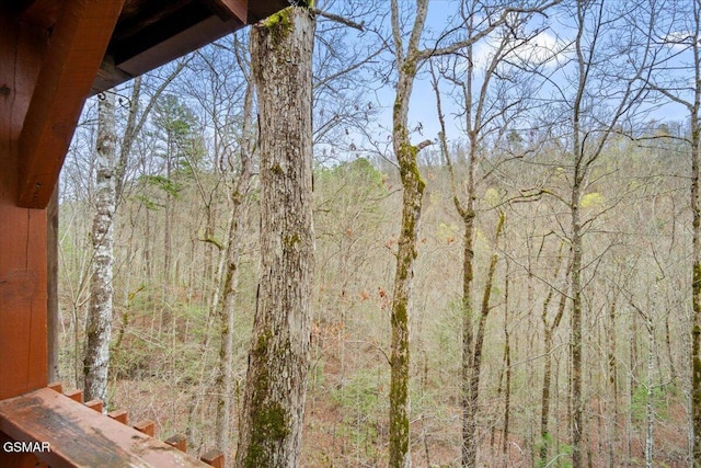 4164 Lumber Jack Way, Sevierville, TN 37876 - view of tree filled area