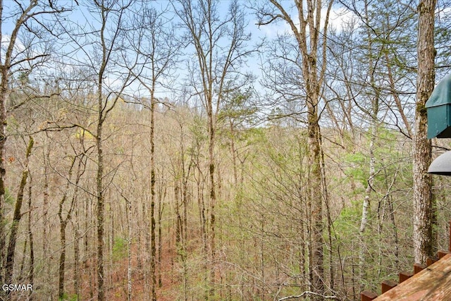 4164 Lumber Jack Way, Sevierville, TN 37876 - view of tree filled area