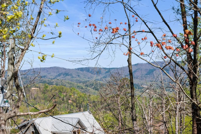 property view of mountains with a wooded view