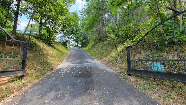 view of street with a gated entry