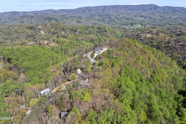 bird's eye view featuring a forest view and a mountain view