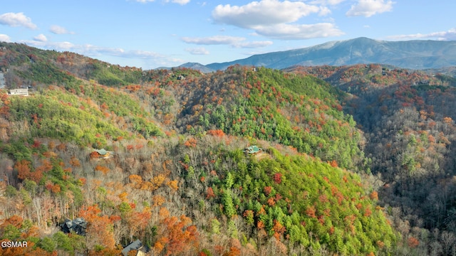 view of mountain feature