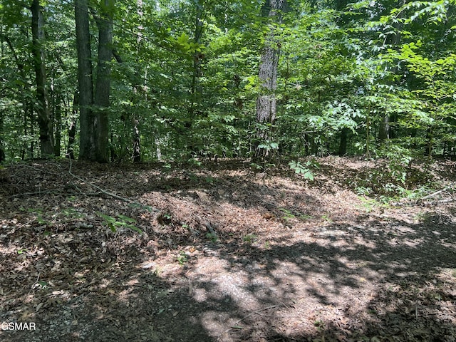 0 Sunny Ct, Baneberry, TN 37890 - photo 6