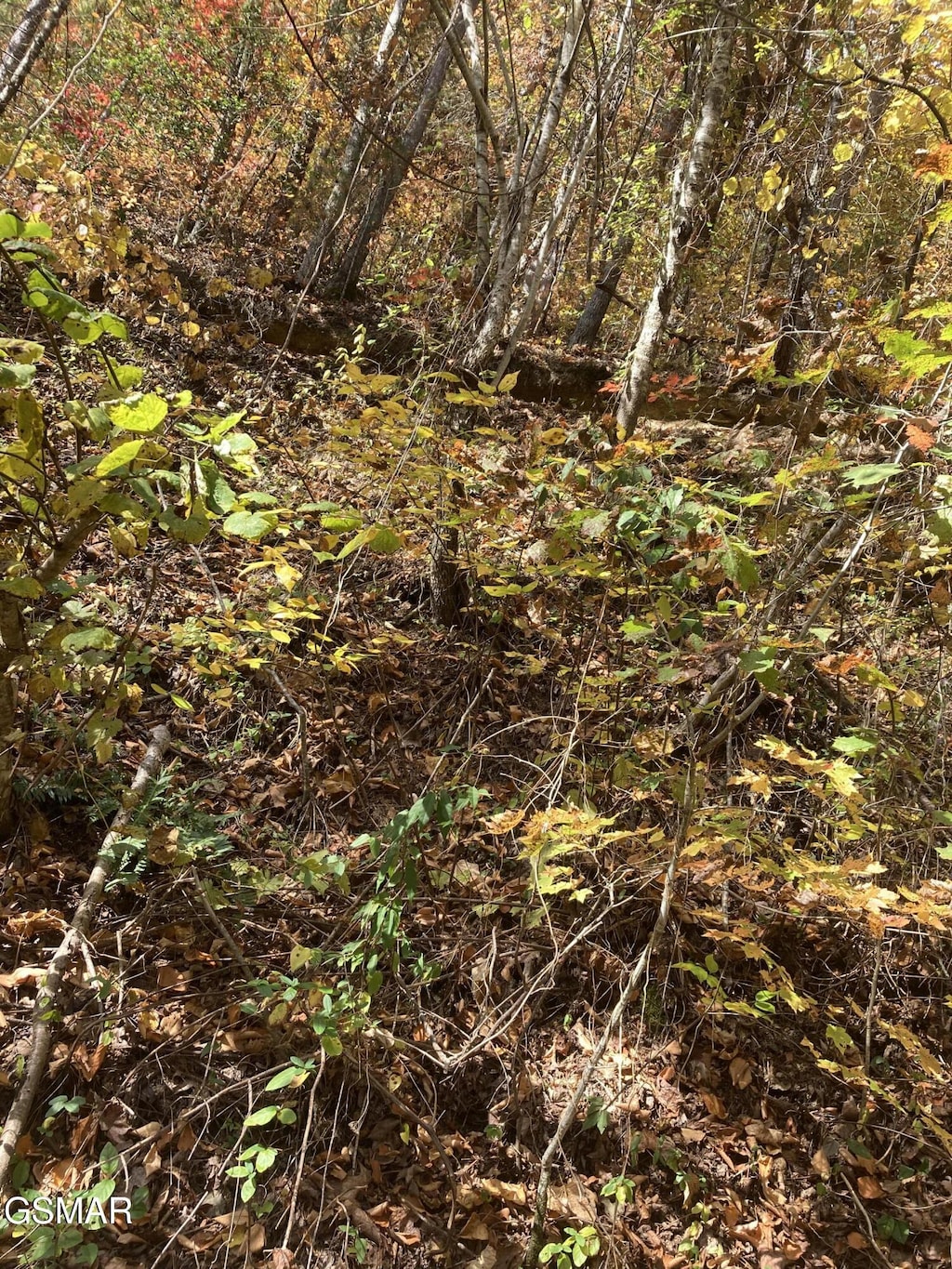 LOT3SEC Meadow View Rd, Sevierville, TN 37862
