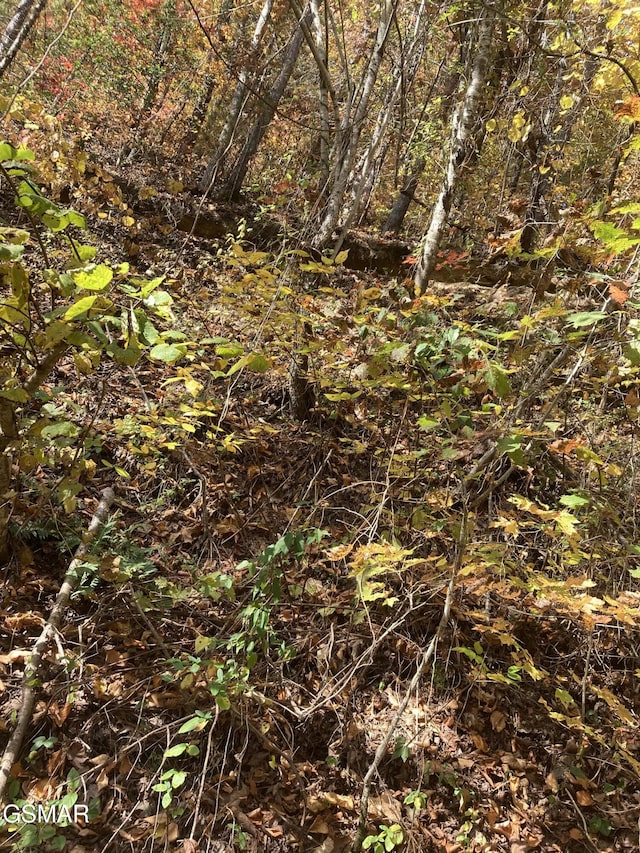 LOT3SEC Meadow View Rd, Sevierville, TN 37862