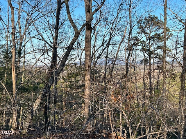 0 Henderson Springs Rd, Pigeon Forge, TN 37863 - photo 2