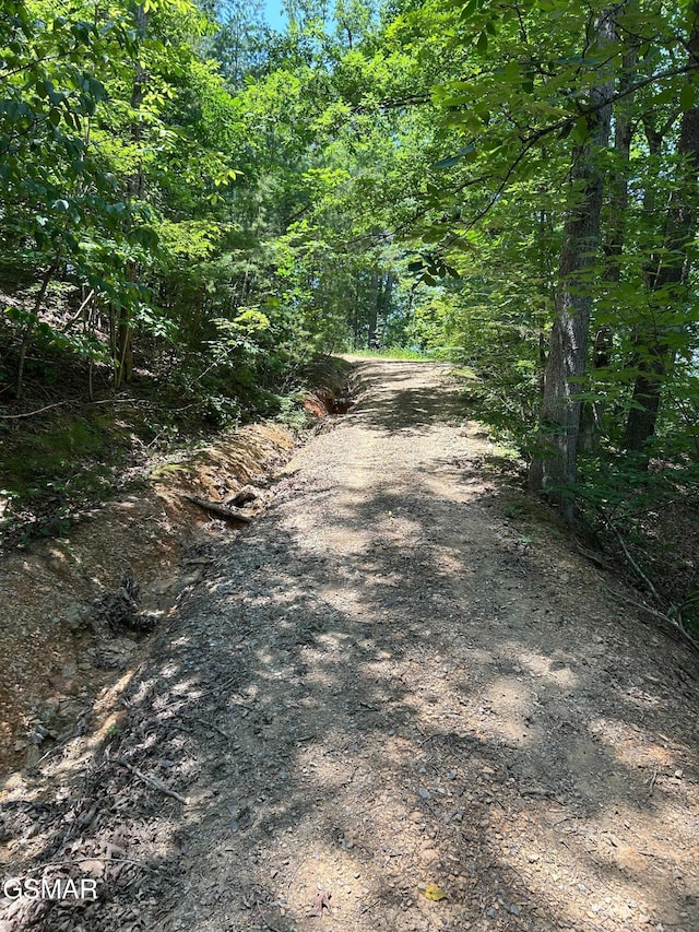 0 Henderson Springs Rd, Pigeon Forge, TN 37863 - photo 1