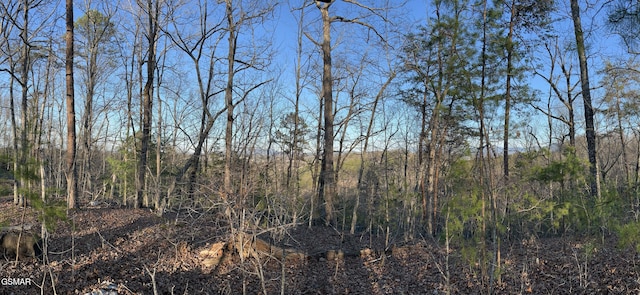 0 Henderson Springs Rd, Pigeon Forge, TN 37863 - photo 11
