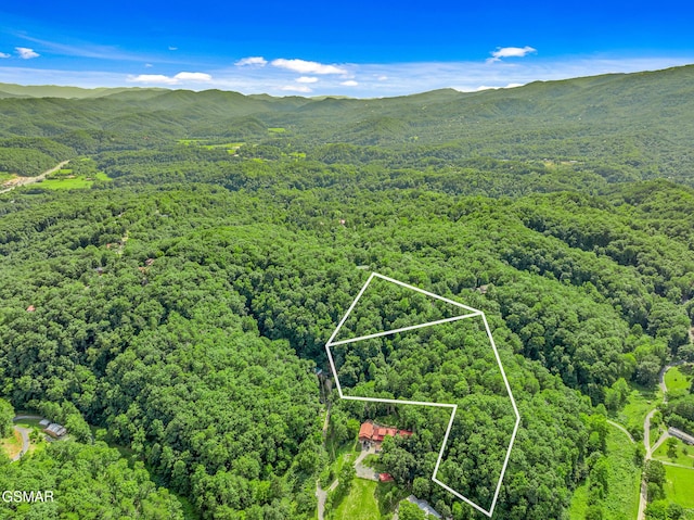 0 Henderson Springs Rd, Pigeon Forge, TN 37863 - photo 8
