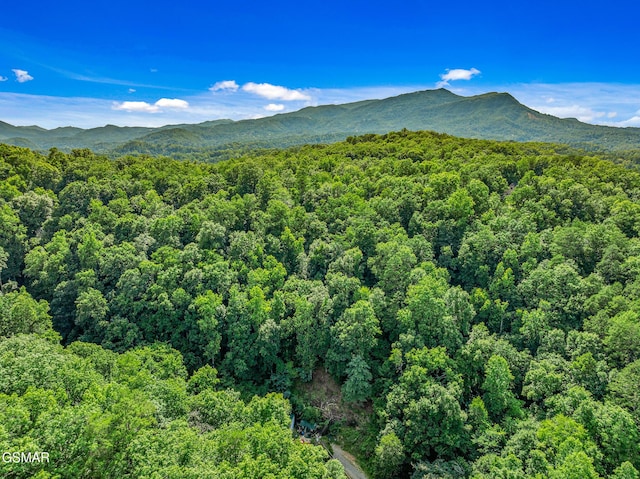 0 Henderson Springs Rd, Pigeon Forge, TN 37863 - photo 5