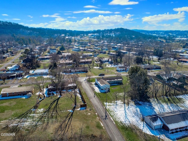 birds eye view of property featuring a mountain view