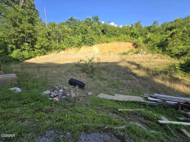 LOT126 Elm Rd, Gatlinburg, TN 37738