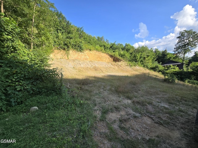 LOT126 Elm Rd, Gatlinburg, TN 37738