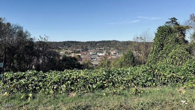 LOT25 Chapman View Dv, Seymour, TN 37865