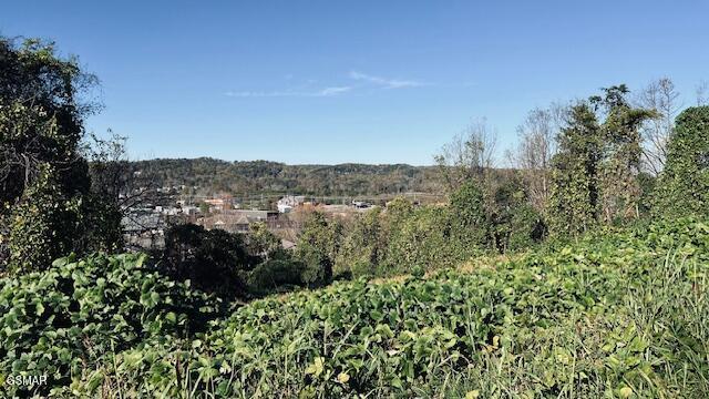 LOT25 Chapman View Dv, Seymour, TN 37865