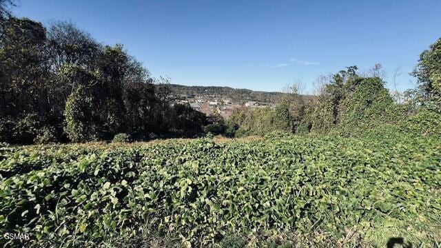 LOT25 Chapman View Dv, Seymour, TN 37865