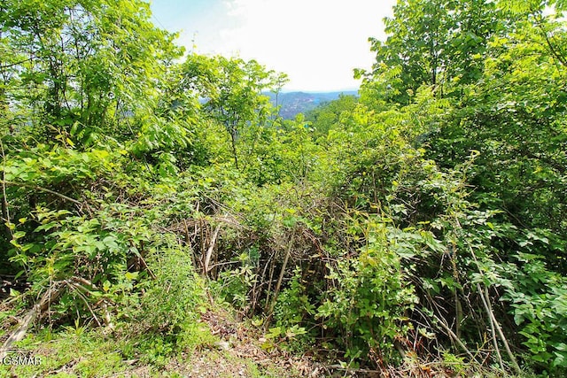 LOT304 Chestnut Dr, Gatlinburg, TN 37738