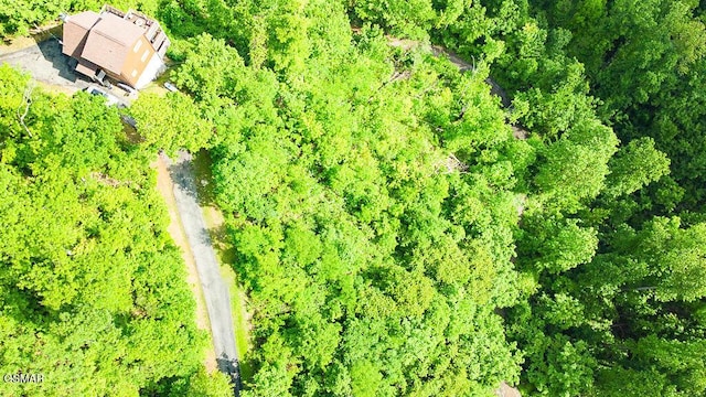 LOT304 Chestnut Dr, Gatlinburg, TN 37738