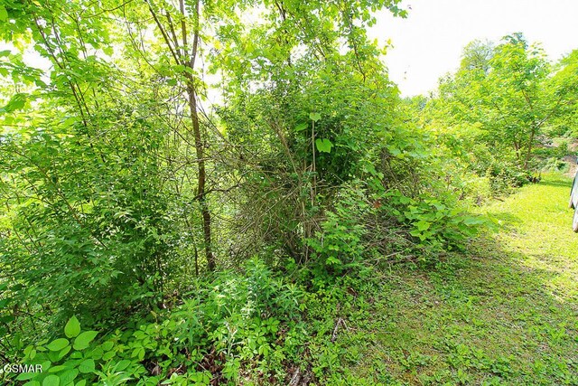 LOT304 Chestnut Dr, Gatlinburg, TN 37738