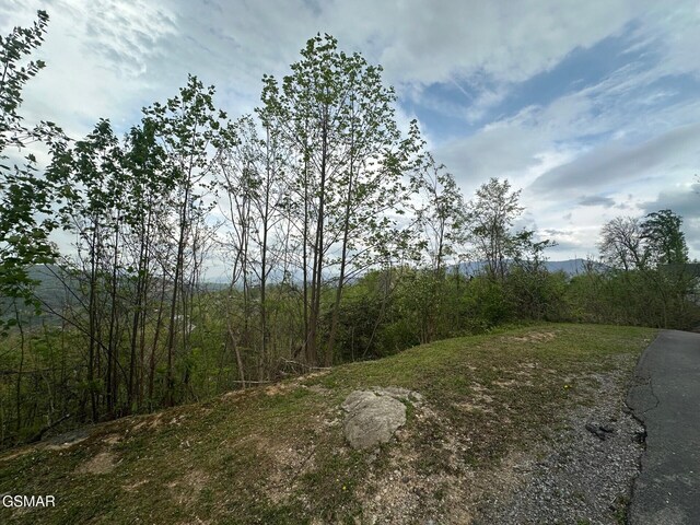 LOT304 Chestnut Dr, Gatlinburg, TN 37738