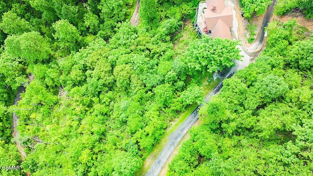 LOT304 Chestnut Dr, Gatlinburg, TN 37738