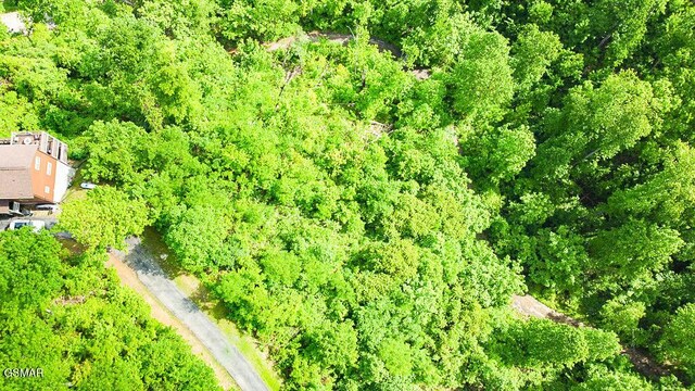 LOT304 Chestnut Dr, Gatlinburg, TN 37738