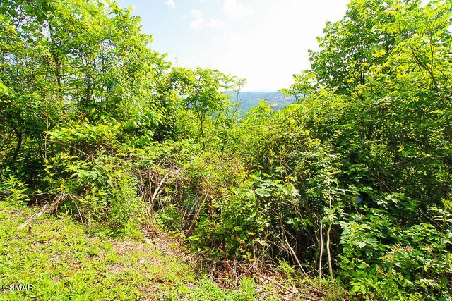 LOT304 Chestnut Dr, Gatlinburg, TN 37738