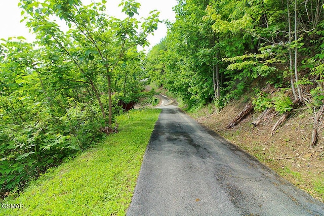 LOT304 Chestnut Dr, Gatlinburg, TN 37738