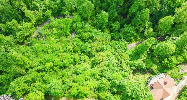 LOT304 Chestnut Dr, Gatlinburg, TN 37738