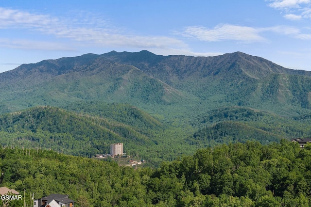 property view of mountains with a forest view