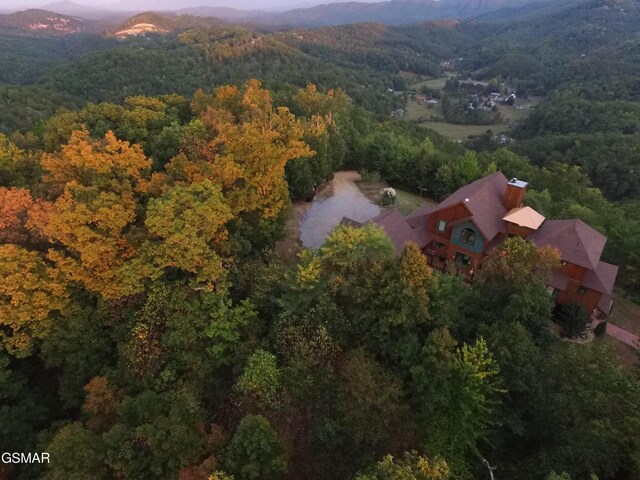 1642 Little Cove Rd, Sevierville, TN 37862 - view of property exterior featuring a mountain view