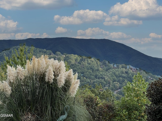 1642 Little Cove Rd, Sevierville, TN 37862 - photo 10