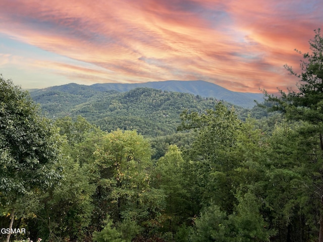 1642 Little Cove Rd, Sevierville, TN 37862 - photo 5
