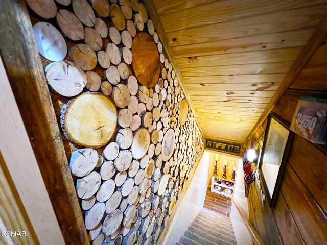 1642 Little Cove Rd, Sevierville, TN 37862 - carpeted cinema with baseboards