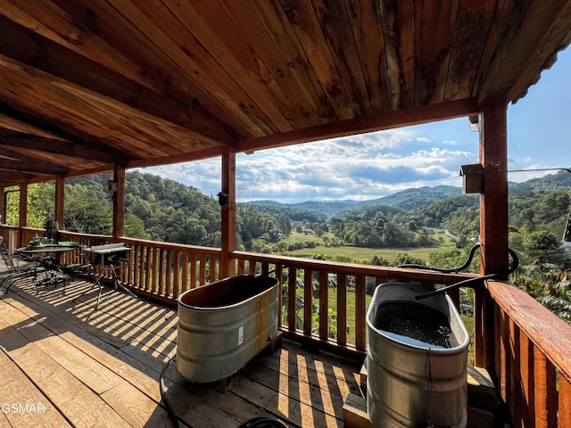 1642 Little Cove Rd, Sevierville, TN 37862 - photo 103