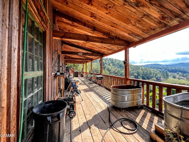 1642 Little Cove Rd, Sevierville, TN 37862 - photo 102