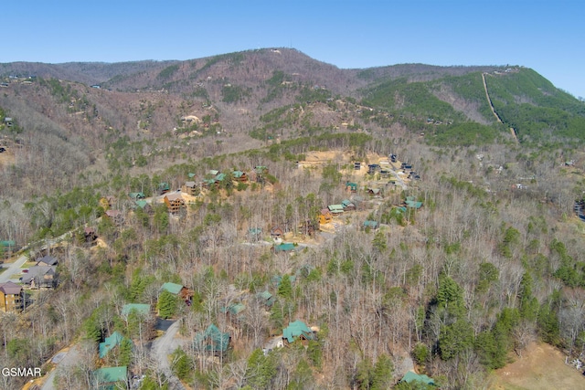 2103 Roscoe Ct, Sevierville, TN 37876 - view of mountain backdrop