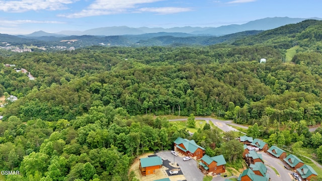 2939 Fiddlers Creek Way, Pigeon Forge, TN 37863 - photo 29