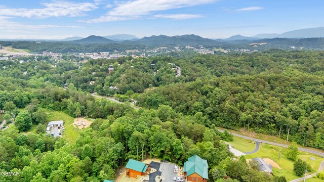 2939 Fiddlers Creek Way, Pigeon Forge, TN 37863 - photo 27