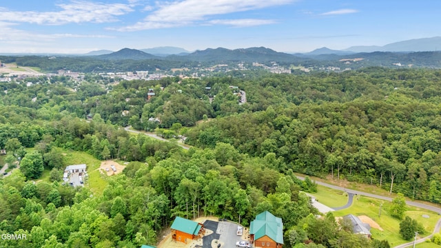 2939 Fiddlers Creek Way, Pigeon Forge, TN 37863 - photo 28