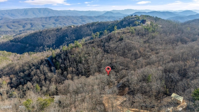 birds eye view of property featuring a mountain view and a view of trees