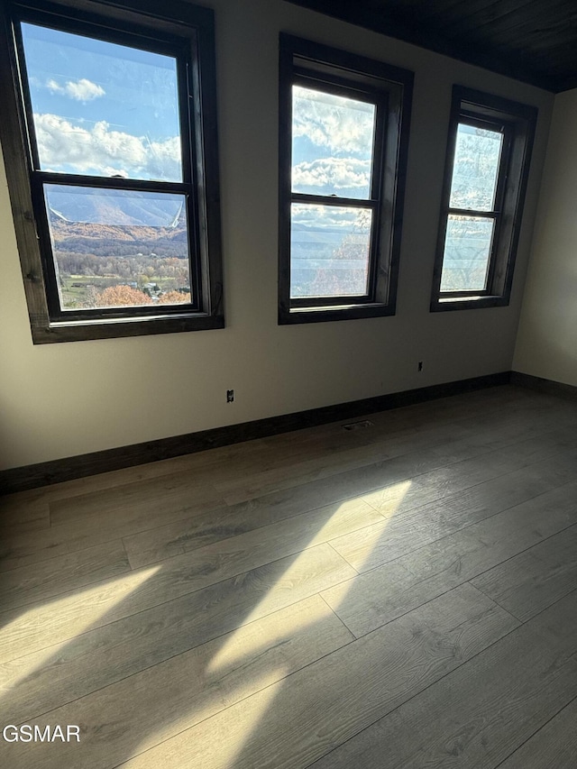 spare room with wood-type flooring