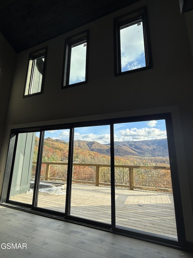 doorway with a mountain view, wood-type flooring, and a wealth of natural light