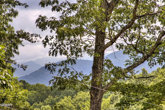 1125 Tanrac Trl, Gatlinburg, TN 37738 - view of mountain feature featuring a forest view