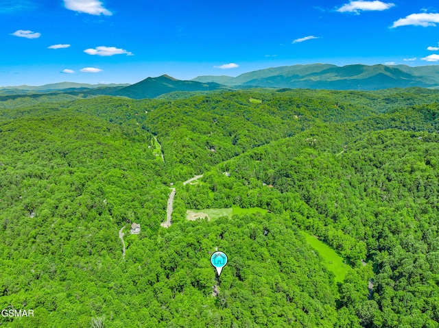1918 Charles Lewis Way, Sevierville, TN 37876 - bird's eye view of a mountainous background