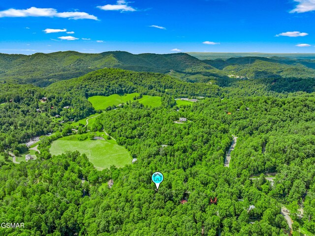 1918 Charles Lewis Way, Sevierville, TN 37876 - aerial view of mountains
